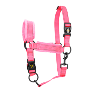 Excellent Superior Halster Roze M