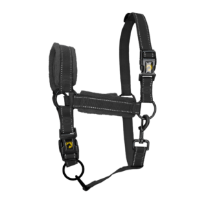 Excellent Superior Halster Zwart XL