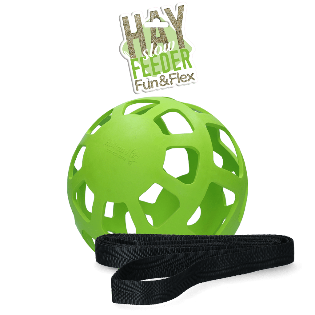 Hay Slow Feeder Fun & Flex Groen
