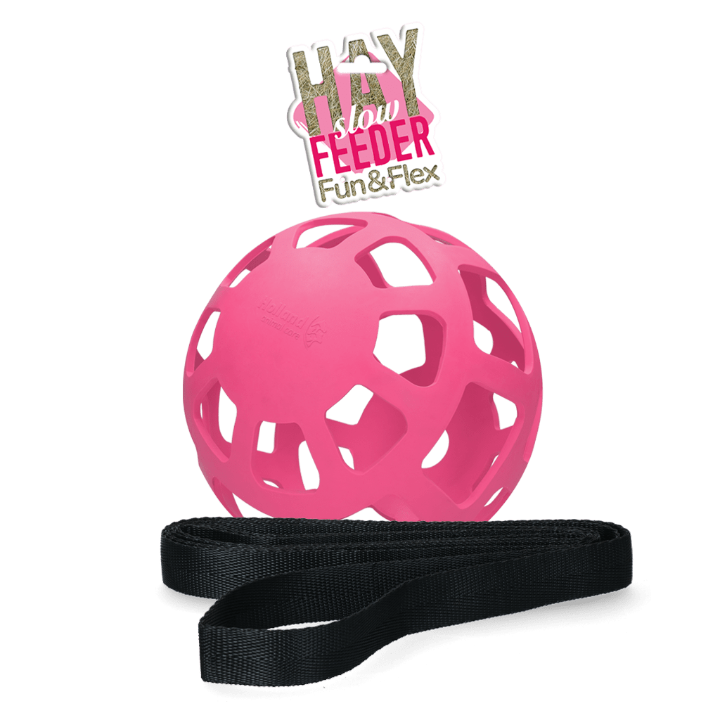 Hay Slow Feeder Fun & Flex Roze