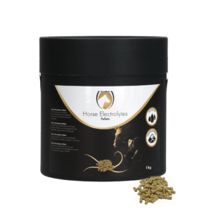 Excellent Horse Electrolytes Pellets 1 kg