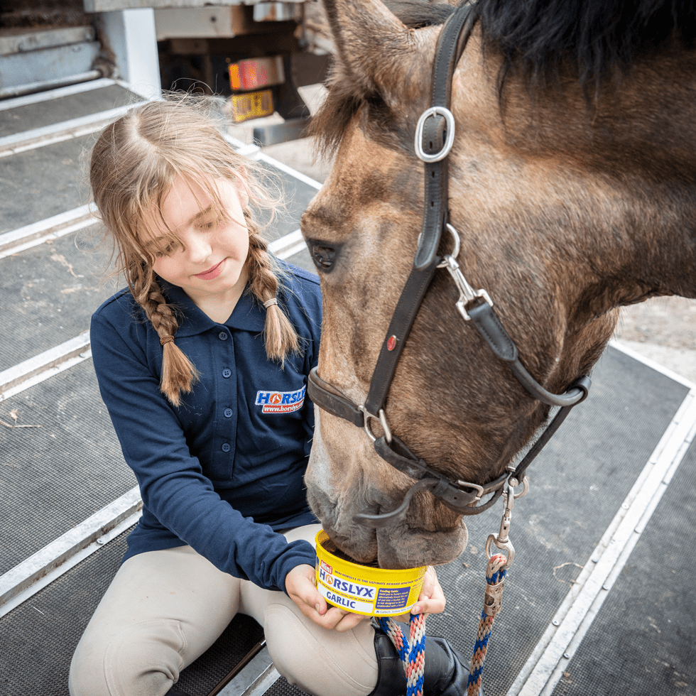 Horslyx Mini Knoflook - Afbeelding 2
