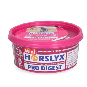 Horslyx Mini Spijsvertering
