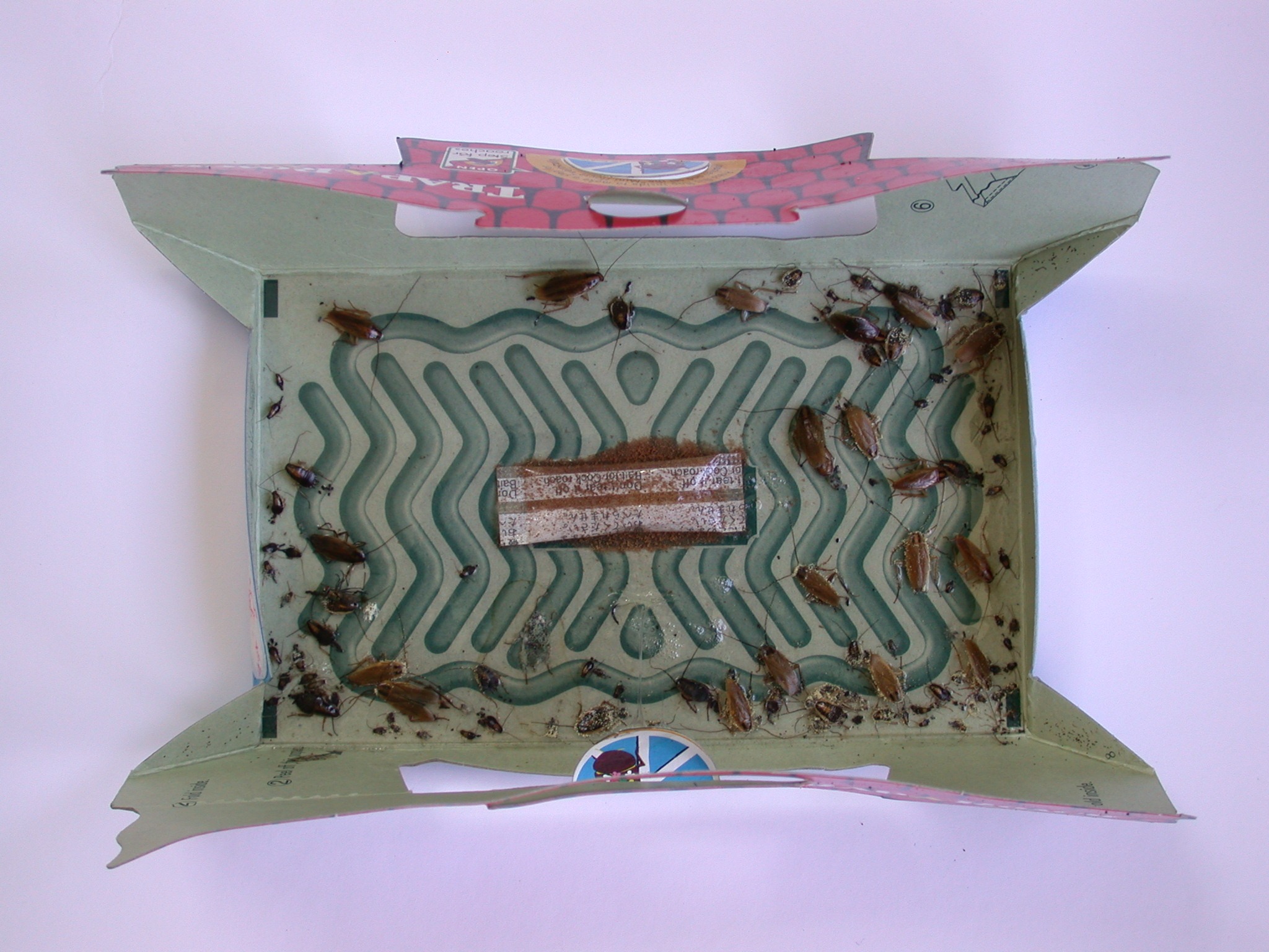 HoyHoy Trap-A-Roach 5-Pack - Afbeelding 2