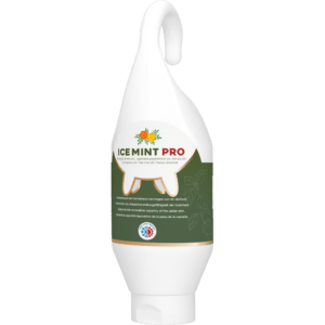 Ice Mint Pro Gel Sta- / Hangtube 500 ml