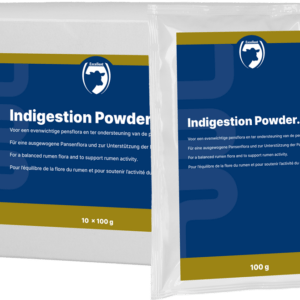 Excellent Indigestie Poeder 10 x 100 g
