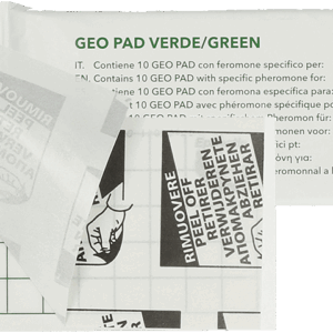 Geo Lijmplaat Levensmiddelenmot