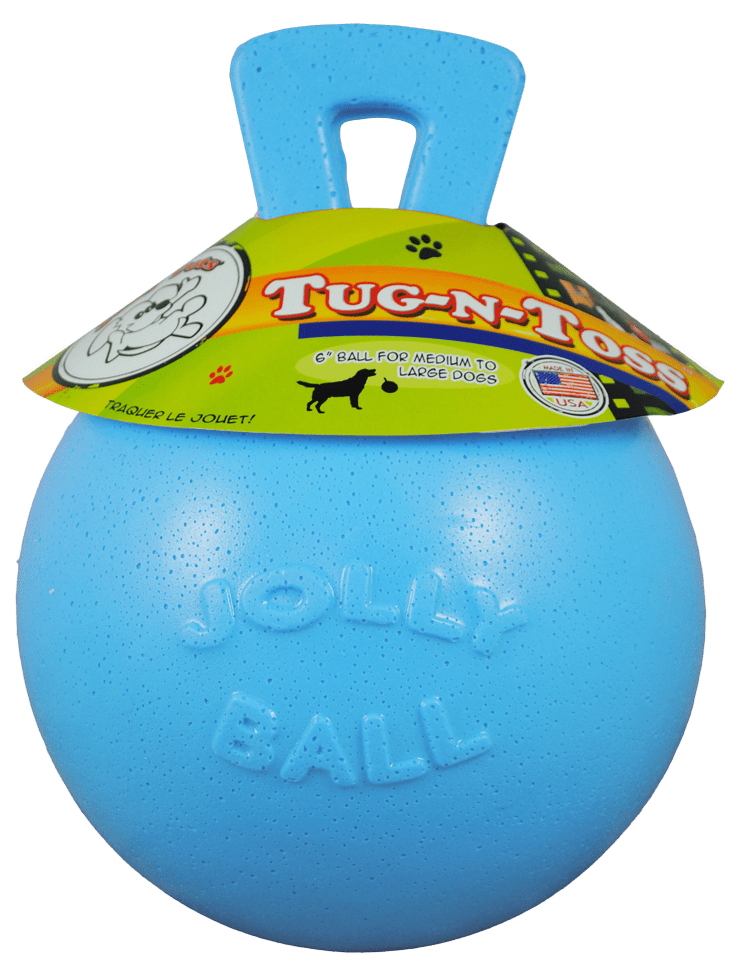 Jolly Tug-n-Toss Bosbessen M (15 cm)