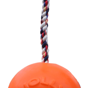 Jolly Romp-n-Roll Vanille M (15 cm)