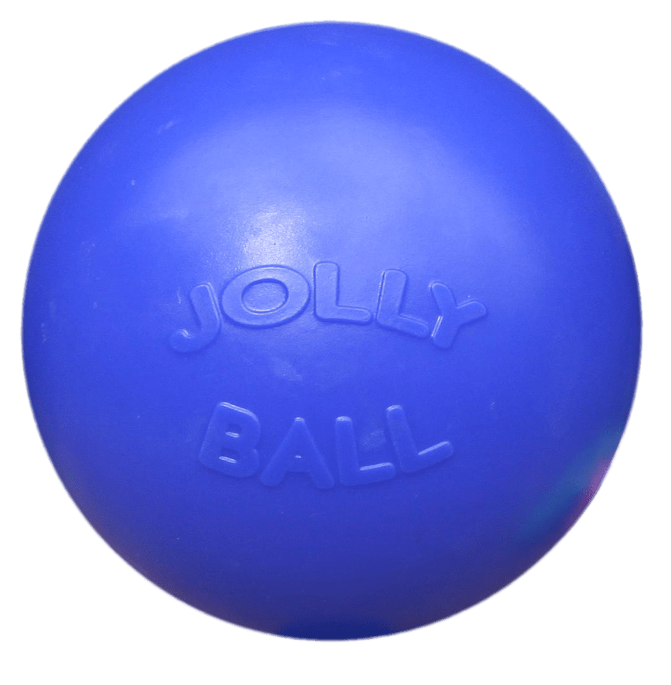 Jolly Push-n-Play Blauw L (25 cm)