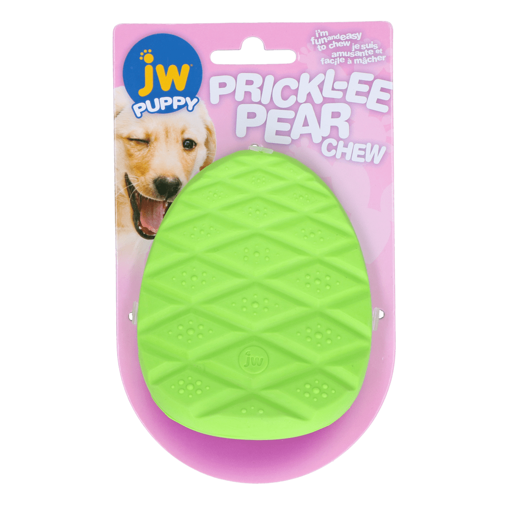 JW Puppy - Prickl-ee Pear Teether