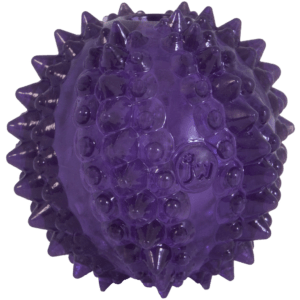 JW Puppy - Bristl-ee Cactus Ball