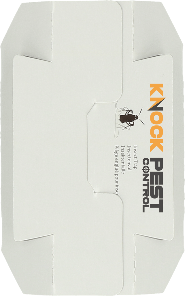Knock Pest Insectenval Klein - Afbeelding 3