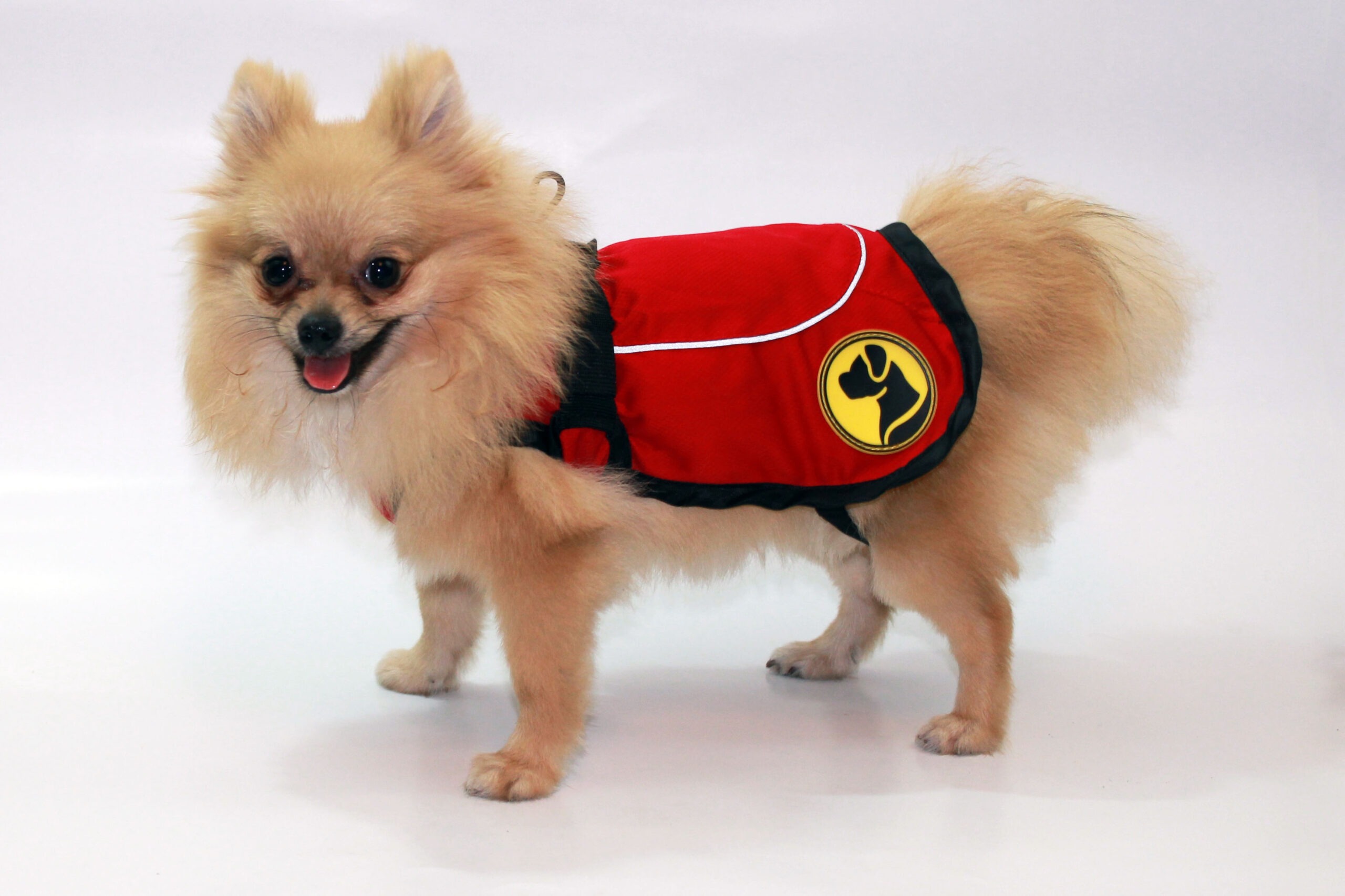 Dog Armor Knockdown Coat (Insect Shield) XXXS (25cm ruglengte) - Afbeelding 2