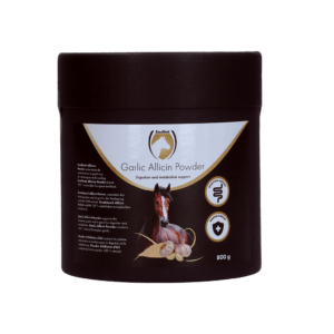 Excellent Horse Garlic Allicin Powder 800 g