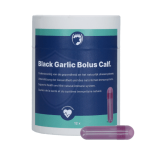 Excellent Black Garlic Bolus Kalf