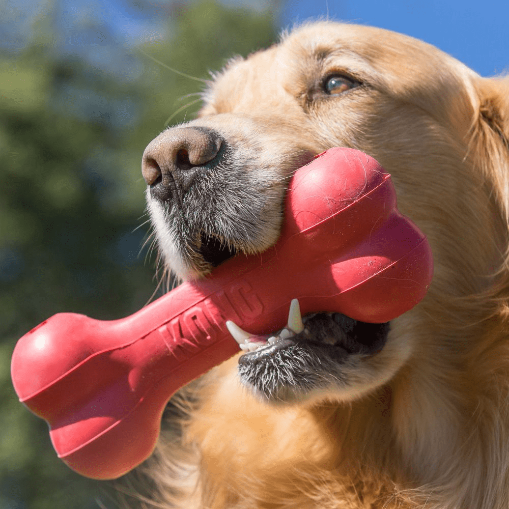 KONG Goodie Bone Rood M - Afbeelding 2