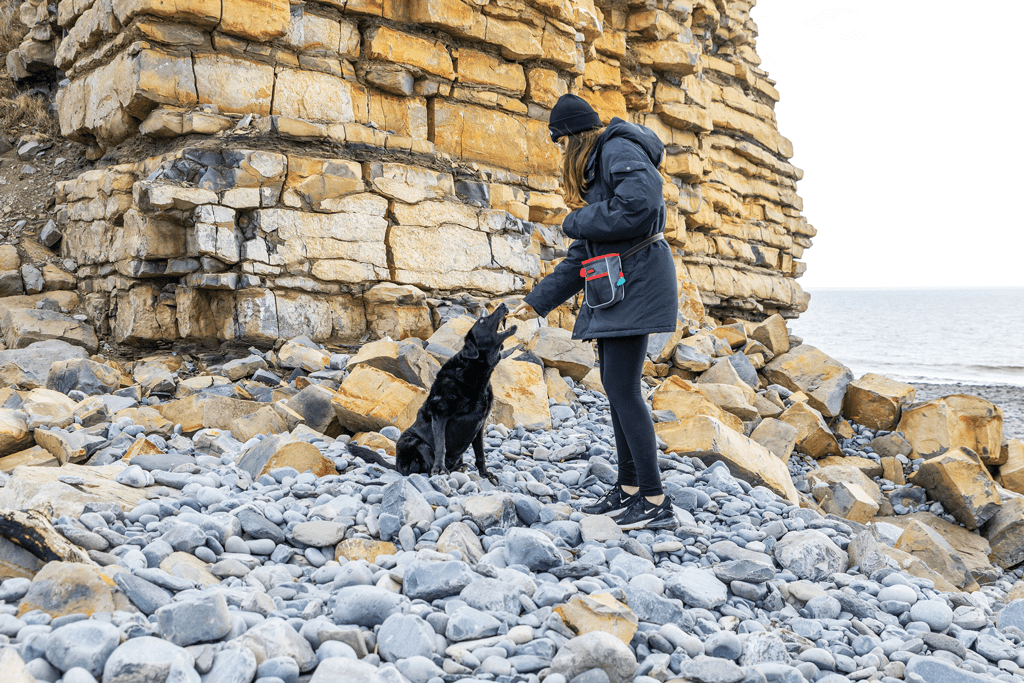 KONG Hiking Bag - Afbeelding 4
