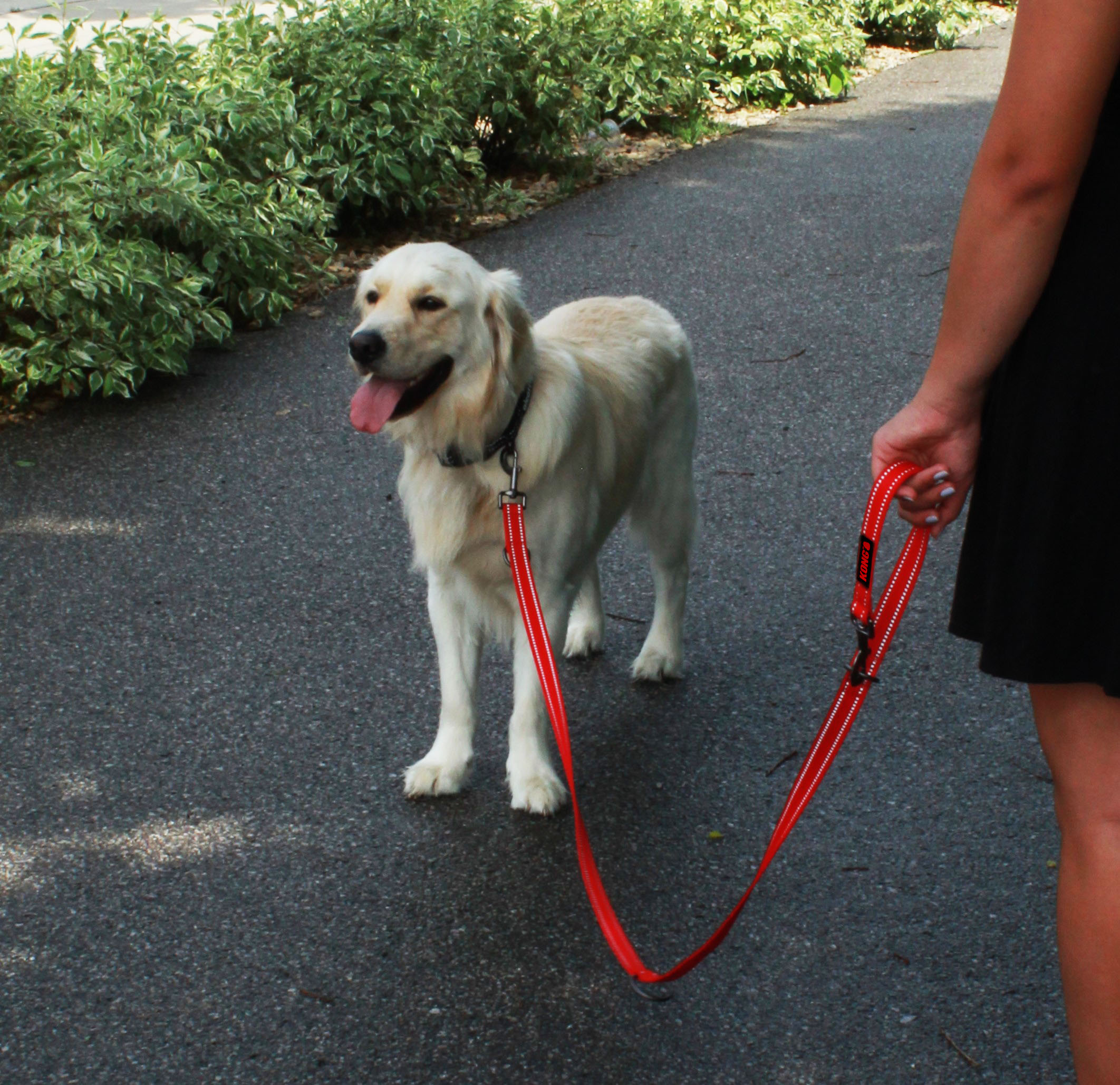 KONG Adjustable Leash Zwart L - Afbeelding 4