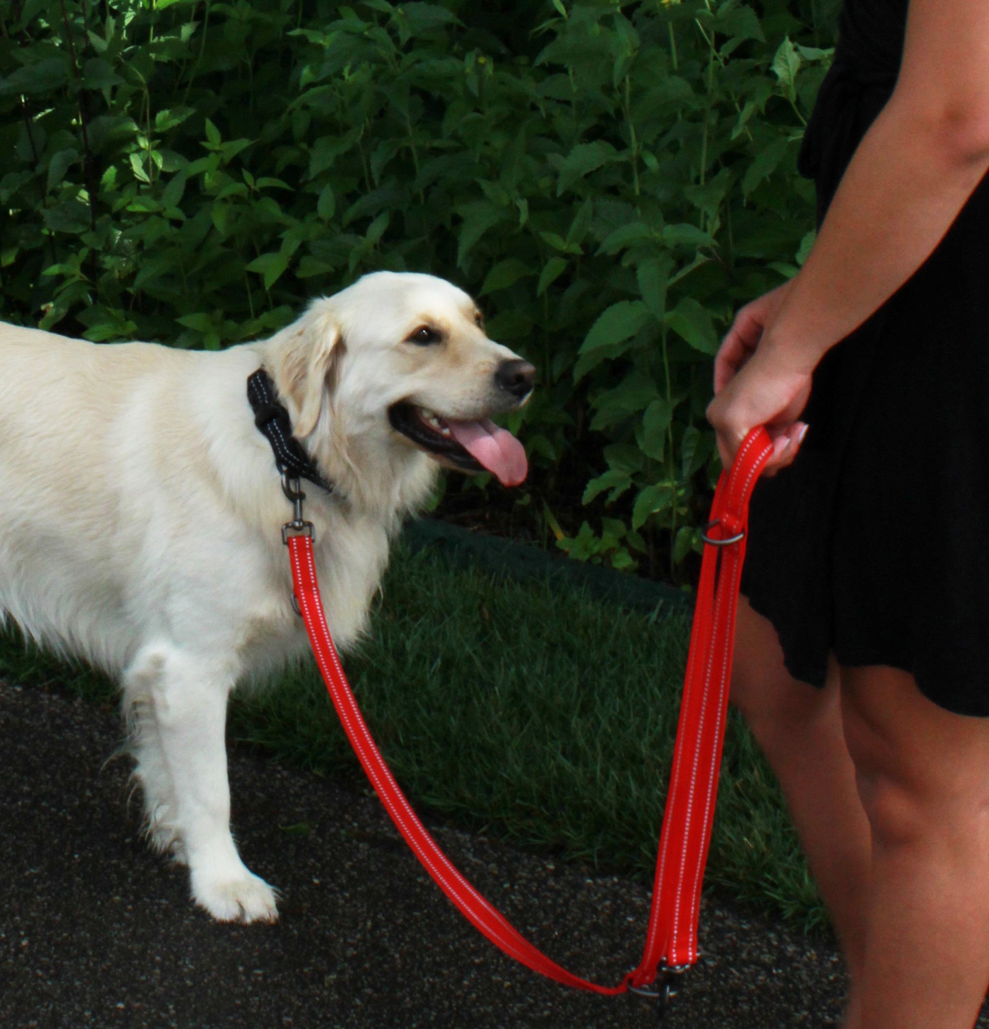 KONG Adjustable Leash Zwart L - Afbeelding 3