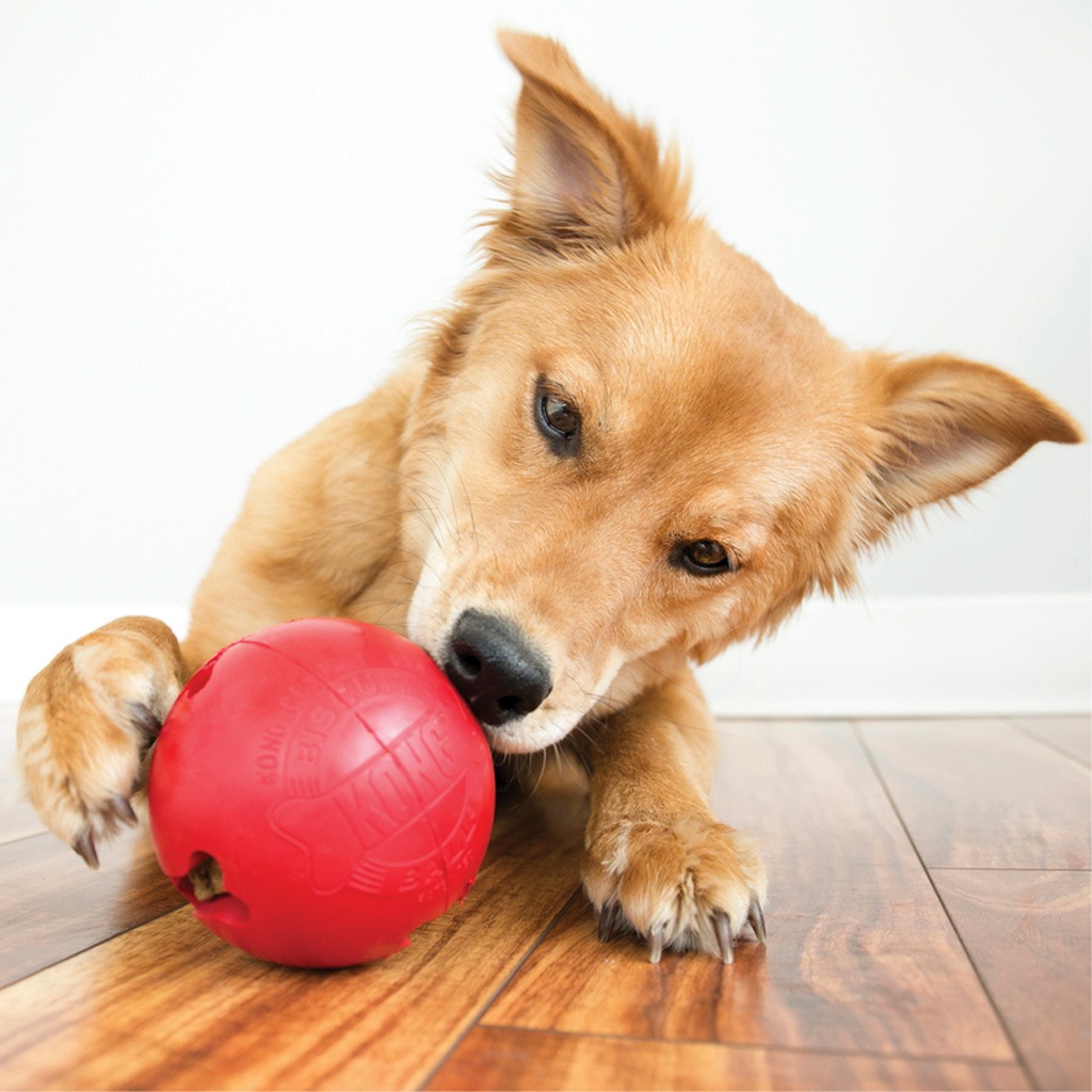 KONG Biscuit Ball L - Afbeelding 3