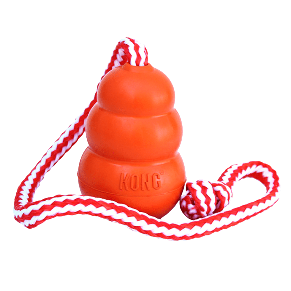 KONG Aqua M - Afbeelding 2