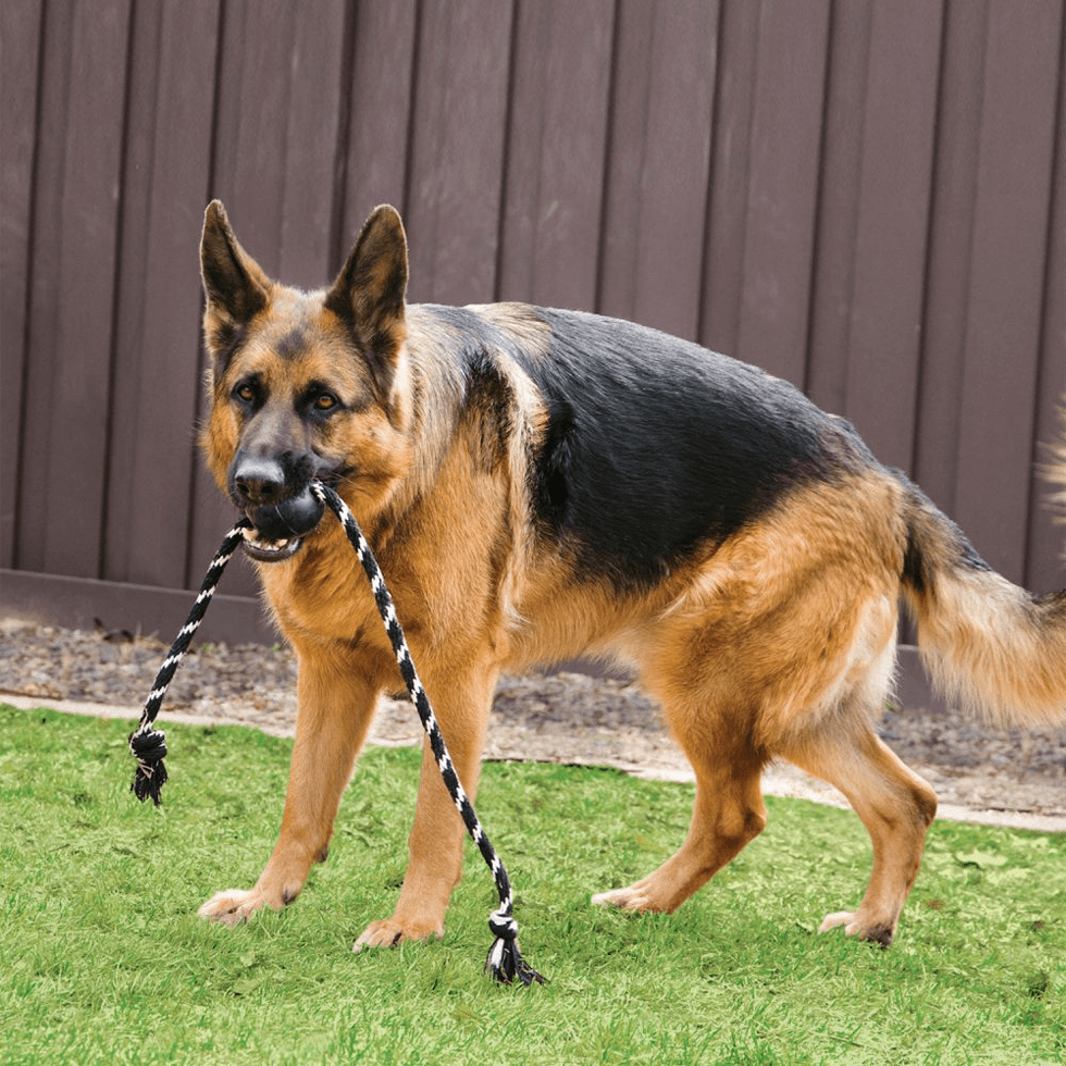 KONG Extreme Ball met touw L - Afbeelding 2