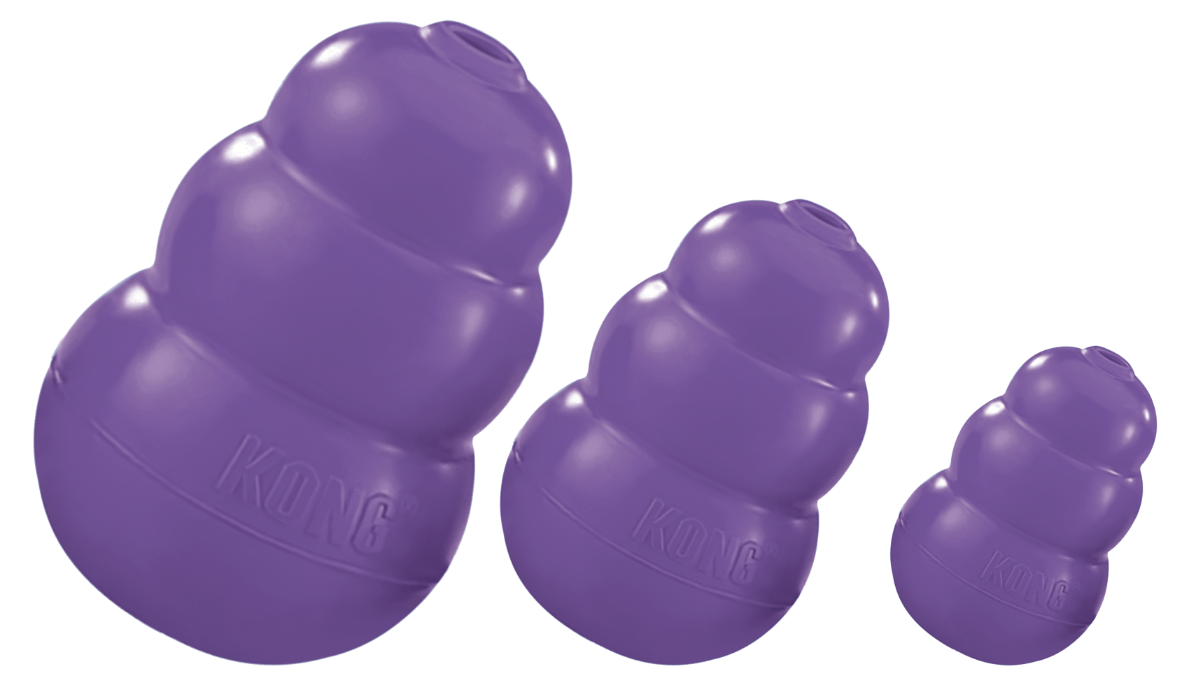 KONG Senior M