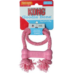 KONG Puppy Goodie Bone met touw Assorti XS