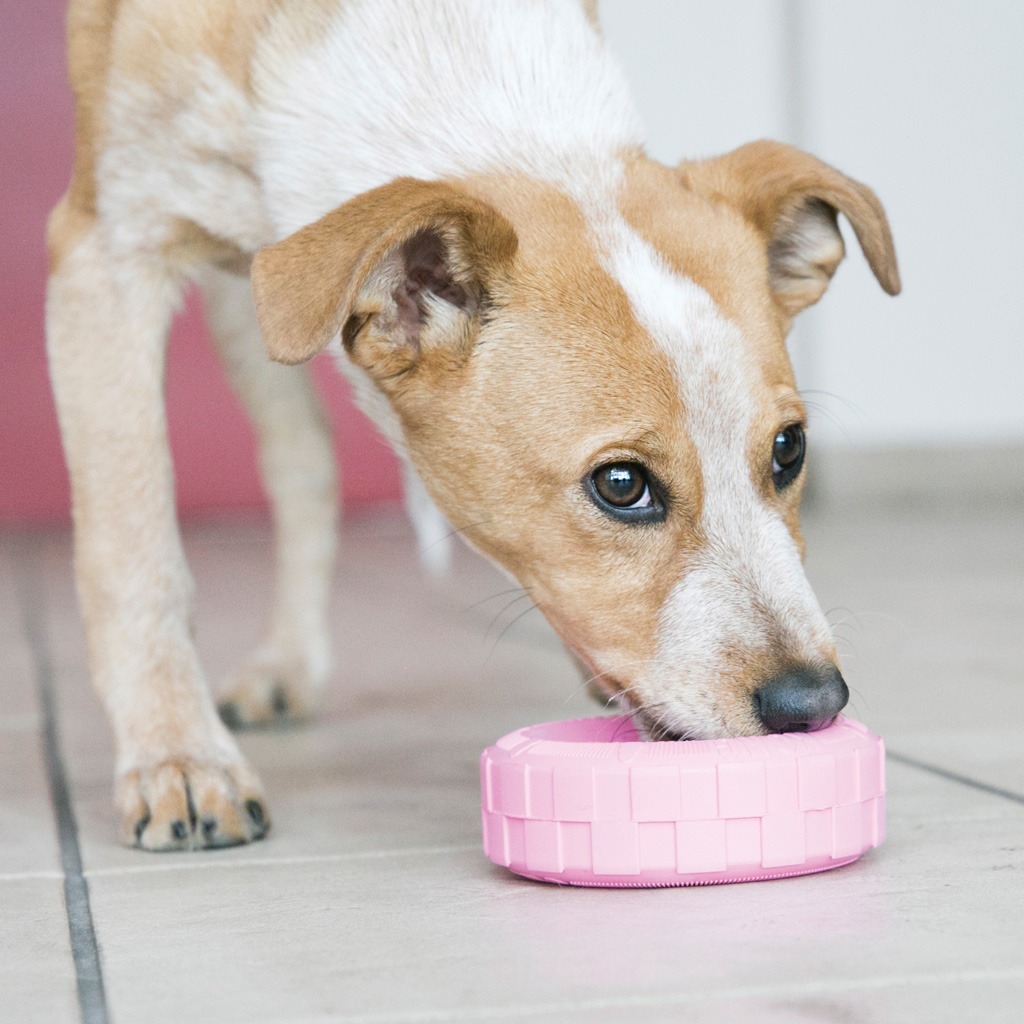 KONG Puppy Tyres Assorti M/L - Afbeelding 4
