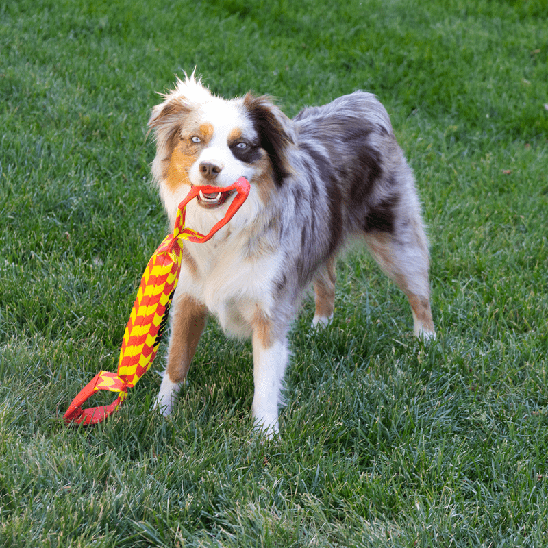 KONG Maxx Tug - Afbeelding 3
