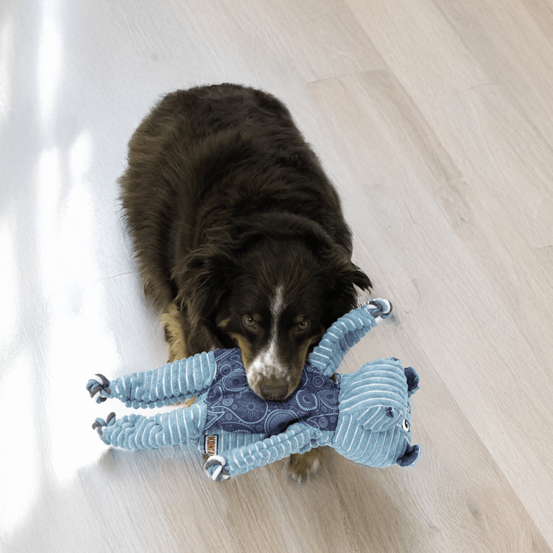 KONG Knots Floppy Hippo - Afbeelding 5