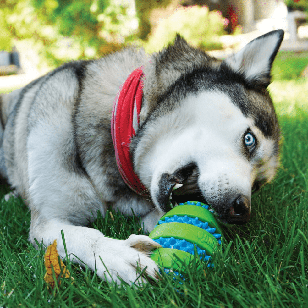 KONG Squeezz® Goomz Ball M - Afbeelding 2