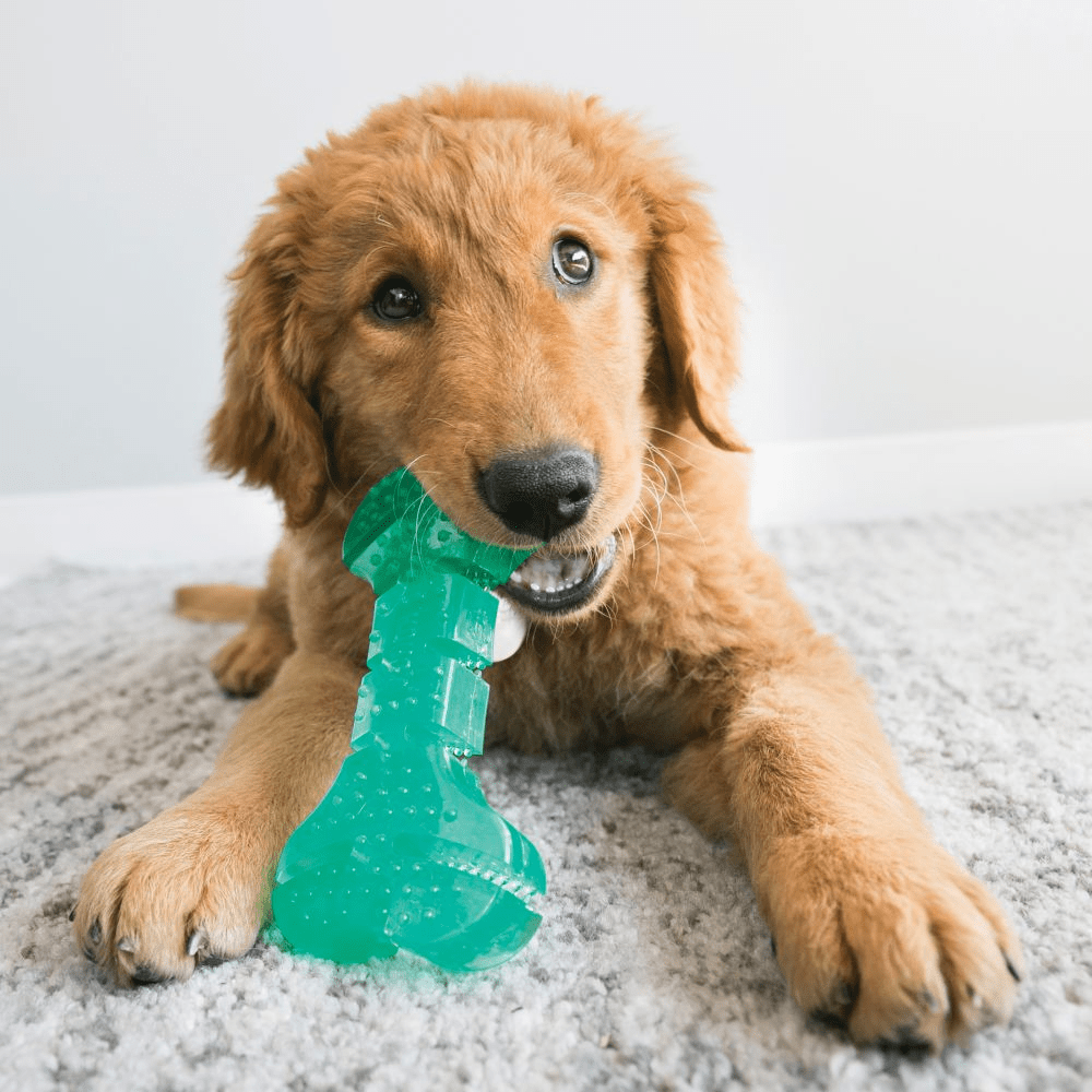 KONG Squeezz® Dental Stick - Afbeelding 3