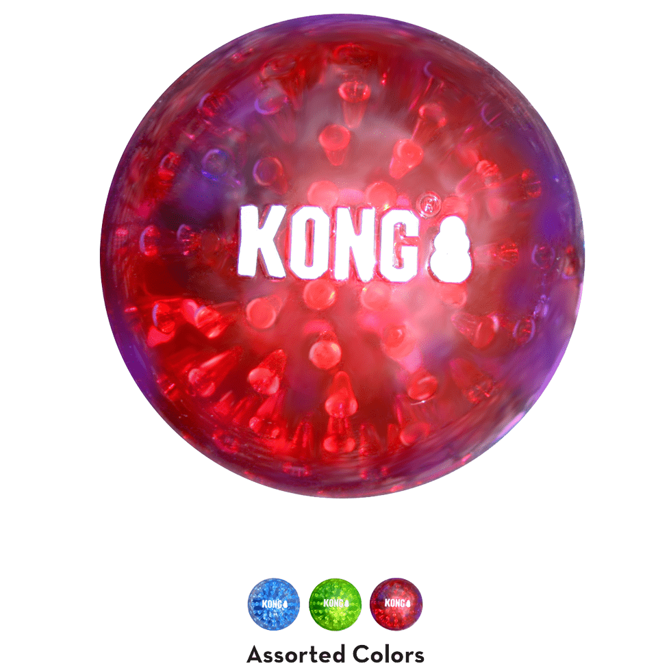 KONG Squeezz® Geodz Assorti 2-Pack - Afbeelding 3