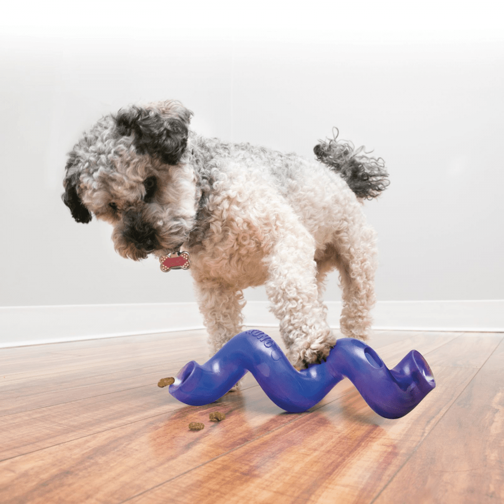 KONG Treat Spiral Stick Assorti S - Afbeelding 3