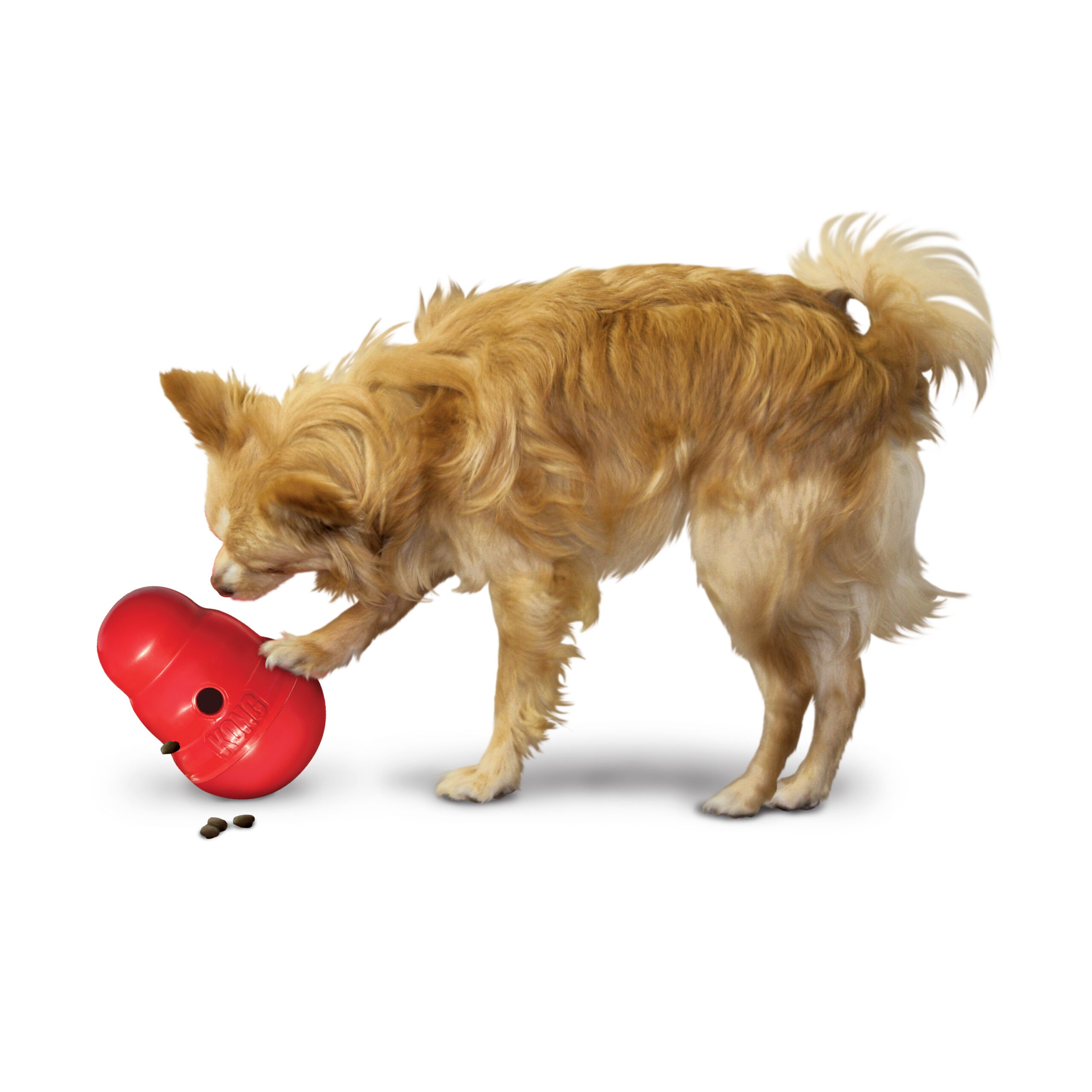 KONG Wobbler S - Afbeelding 4