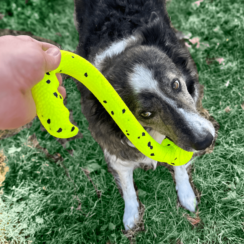 KONG Reflex Tug 'n Fetch - Afbeelding 3