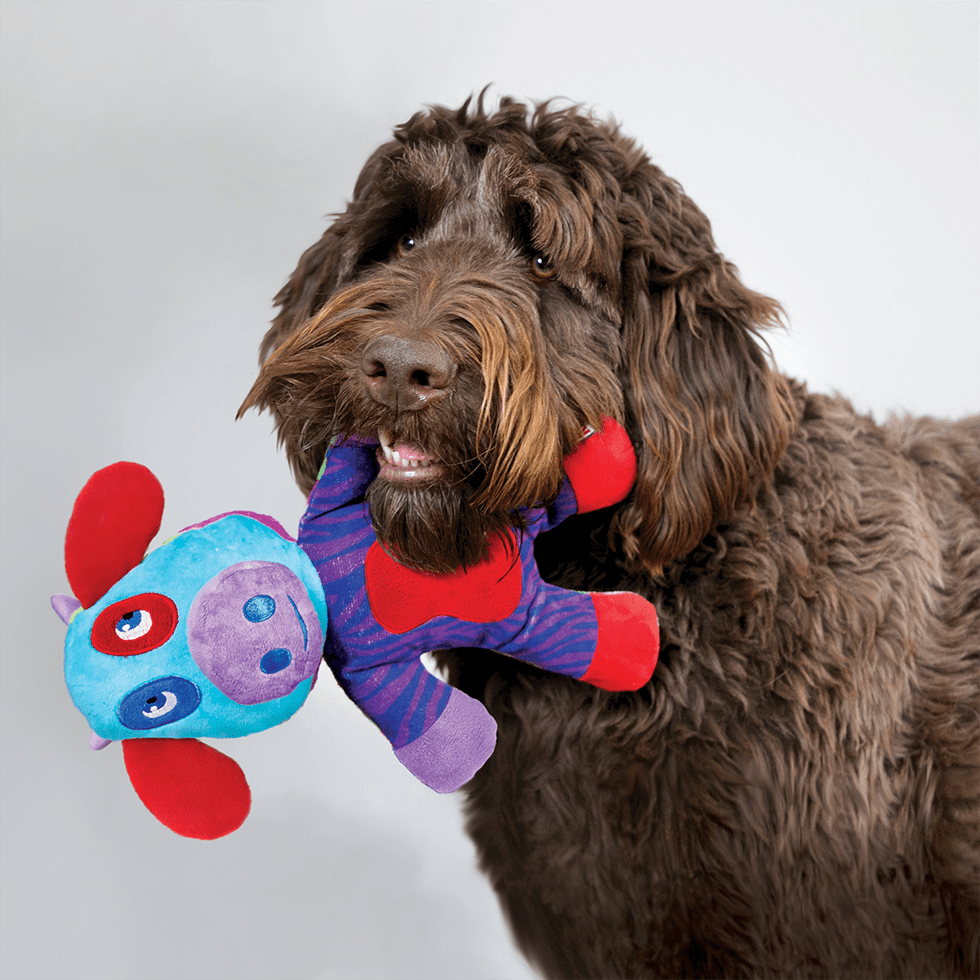 KONG Switcheroos Assorti - Afbeelding 3