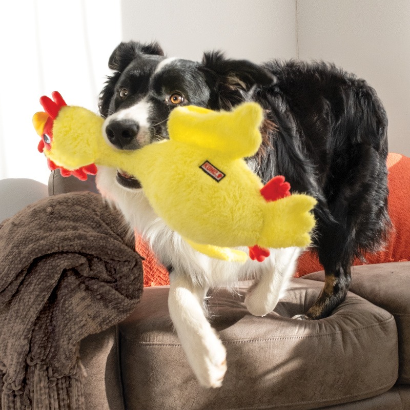 KONG Scruffs Chicken - Afbeelding 3