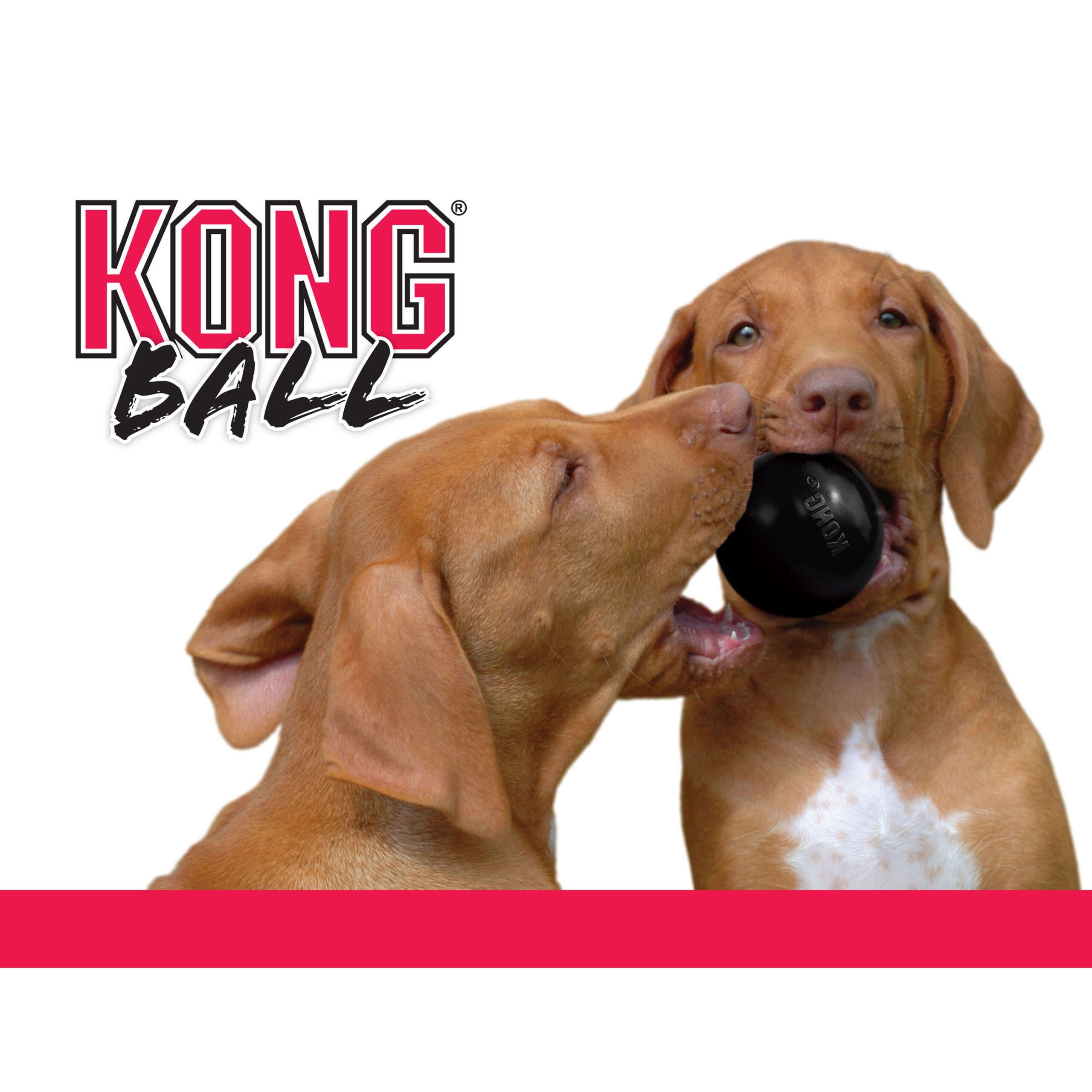 KONG Extreme Ball S - Afbeelding 4