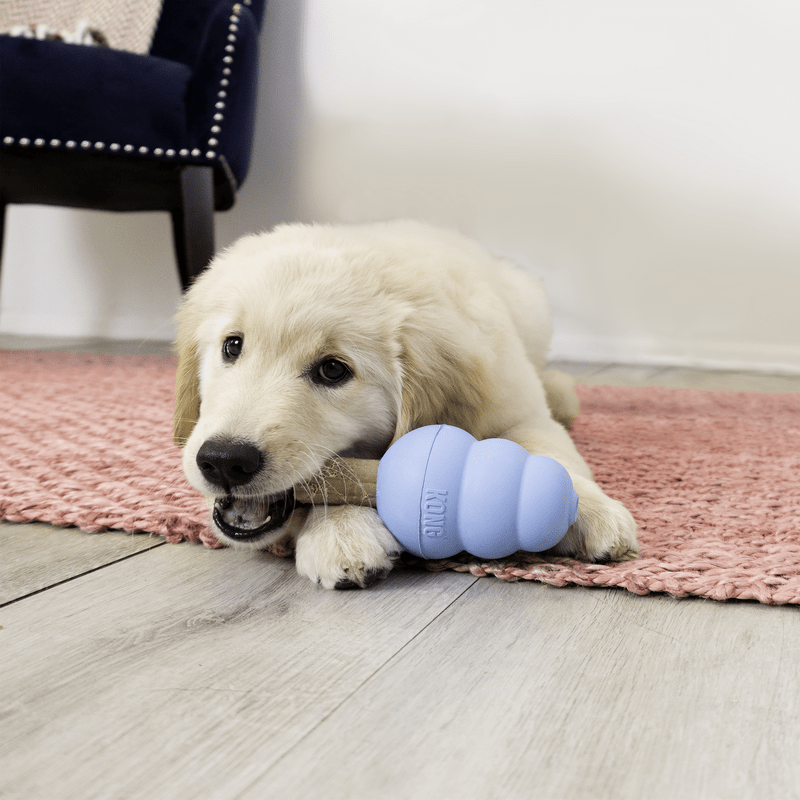 KONG Enhanced Ziggies Puppy M/L - Afbeelding 4