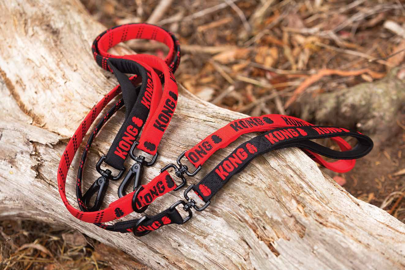 KONG Zero-Shock Leash Rood - Afbeelding 3