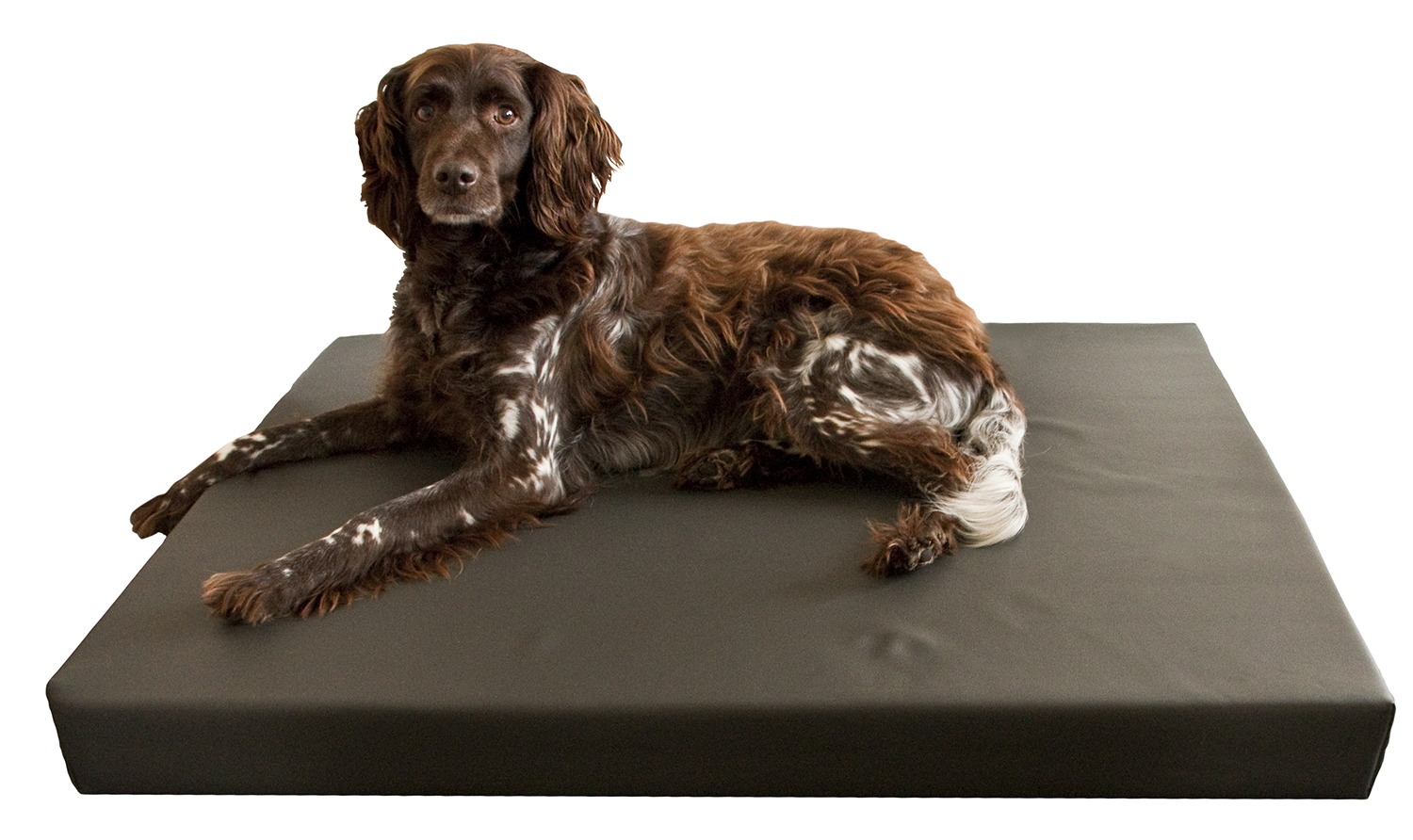 HD Dog Bed XL - Afbeelding 2