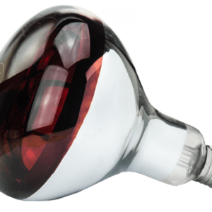 Hard Glas Lamp 250 W - Rood