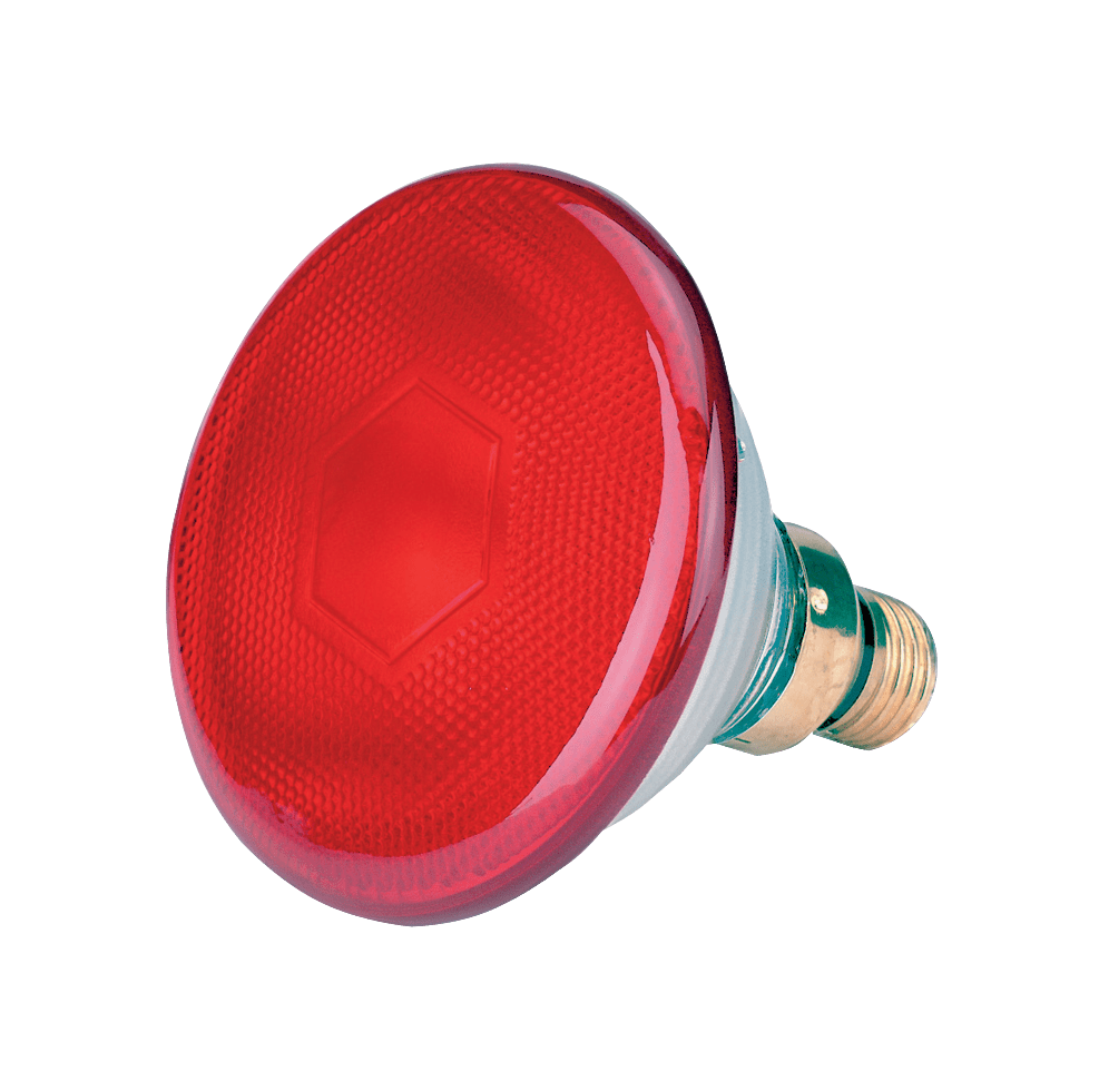 Spaarlamp 100 W - Rood