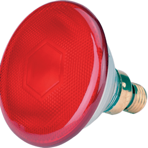 Spaarlamp 175 W - Rood