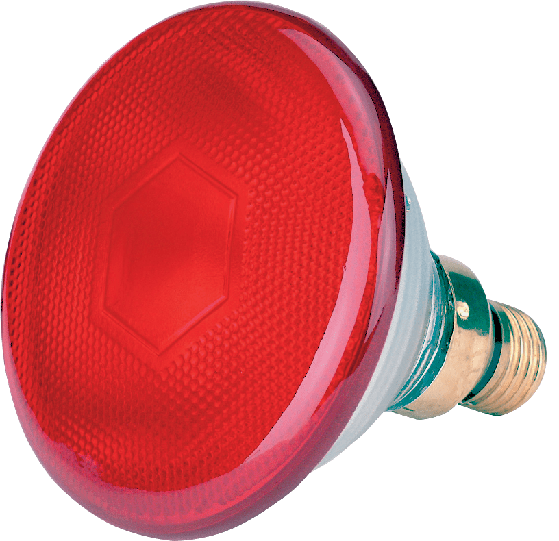 Spaarlamp 175 W - Rood