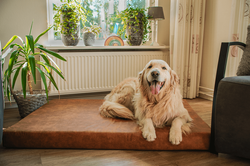 Let's Sleep Mellow Mattress Orthopedisch Kussen XL Taupe - Afbeelding 3