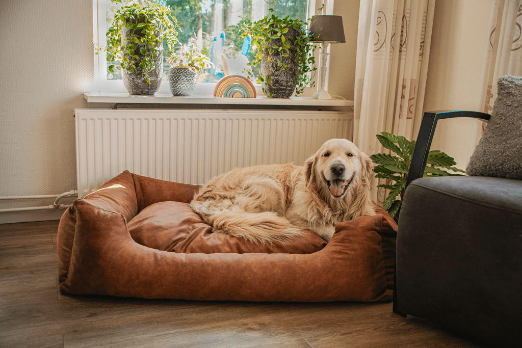 Let's Sleep Sweet Dreams Hondenmand Met Kussen L Cognac - Afbeelding 2